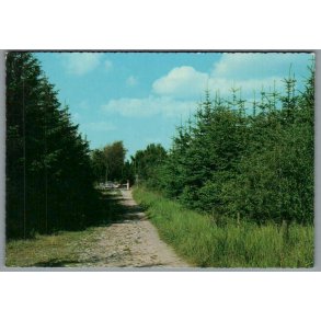 Marielyst - B�t�skoven - Postkort - Ubrugt