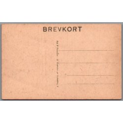 Gadeparti - R�dbyhavn - Postkort - Ubrugt