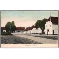 H�ibygaard (Lolland) - Danske Herregaarde  F&B 134 - Postkort - Ubrugt