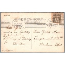 B�rnehj�lpsdagen 1908 - Brugt 