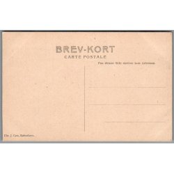 B�rnehj�lpsdagen 1908 - Ubrugt