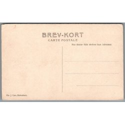 B�rnehj�lpsdagen 1908 - Ubrugt