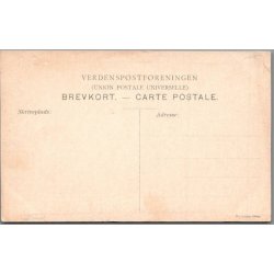 B�rnehj�lpsdagen 1909 - Ubrugt