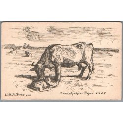 B�rnehj�lpsdagen 1909 - Ubrugt