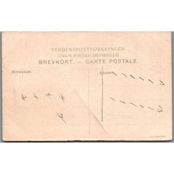 B�rnehj�lpsdagen 1909 - Ubrugt