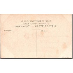 B�rnehj�lpsdagen 1909 - Ubrugt