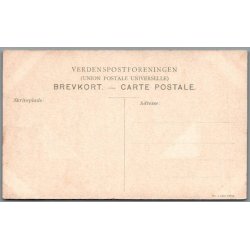B�rnehj�lpsdagen 1909 - Ubrugt