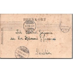 B�rnehj�lpsdagen 1905 - Brugt