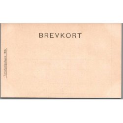 B�rnehj�lpsdagen 1905 - Ubrugt