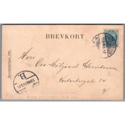 B�rnehj�lpsdagen 1905 - Brugt