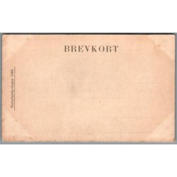 B�rnehj�lpsdagen 1905 - Ubrugt