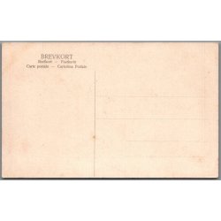 Hedeboegenen - Danmarkstoget - B�rnehj�lpsdagen 1906 - Ubrugt