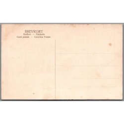 Island - Danmarkstoget - B�rnehj�lpsdagen 1906 - Ubrugt