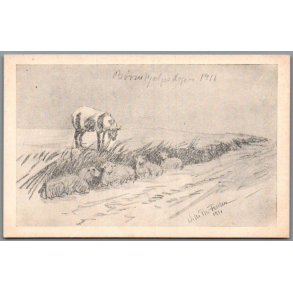 B�rnehj�lpsdagen 1911 - Postkort - Ubrugt