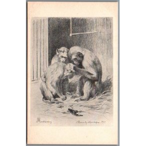 B�rnehj�lpsdagen 1911 - Postkort - Ubrugt