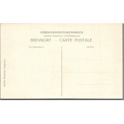 B�rnehj�lpsdagen 1913 - Postkort - Ubrugt