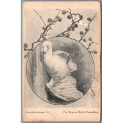 B�rnehj�lpsdagen 1910 - Prinsesse Marie - Postkort - Brugt