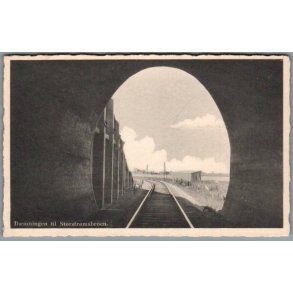 Dmningen til Storstrmsbroen - Rudolf Olsen 4954 - Ubrugt