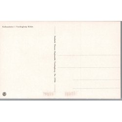 Kalkmalerier i Vordingborg Kirke - Fr. Thunes Bogh. 69646 - Ubrugt