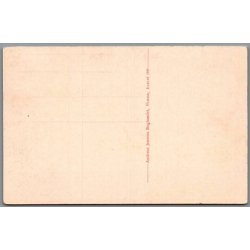 Parti fra Faxingeskoven - Prst - A. Jensen 169 - Ubrugt