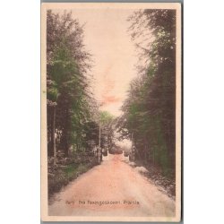 Parti fra Faxingeskoven - Prst - A. Jensen 169 - Ubrugt