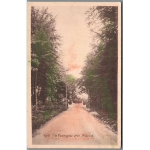 Parti fra Faxingeskoven - Prst - A. Jensen 169 - Ubrugt