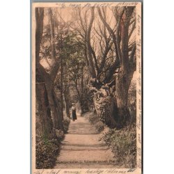 Spadsererstien til Hollnderstien - Prst - A. Jensen  34004 - Brugt