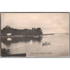 Parti fra Prst Fjord - u/n - Ubrugt