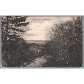 Fra Teglstrup Hegn - J.M. 261 - Brugt