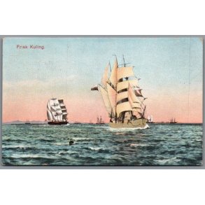 Frisk Kuling - Postkort - Brugt