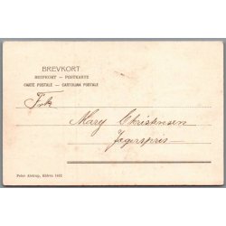 Nys - Peter Alstrup 1452 - Brugt