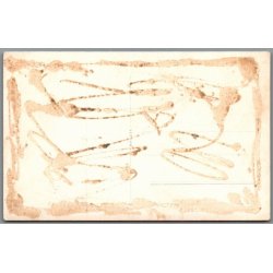 Arres�dallejren - Fotokort u/n - Ubrugt - Limrest p� bagsiden !