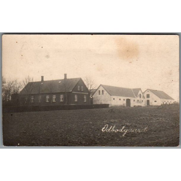 Odbogaard - Veddingevej 32 - F�revejle - Fotokort u/n - Brugt
