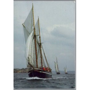 T/S Hawila - Sverige - Postkort - Brugt
