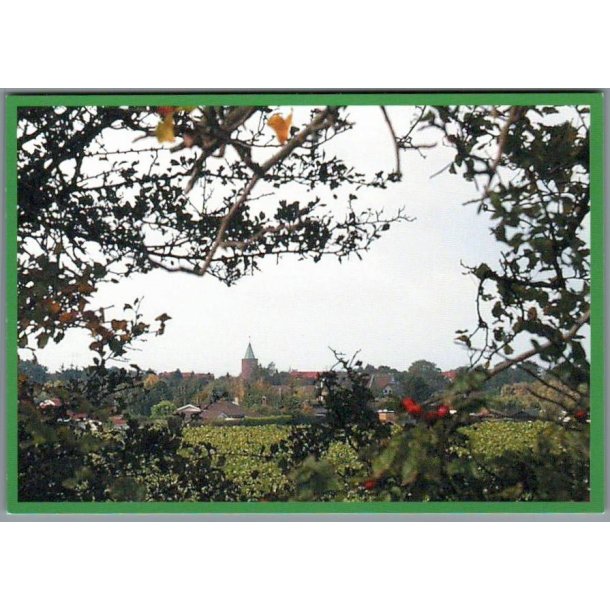 Vordingborg set fra st - Silz u/n - Ubrugt