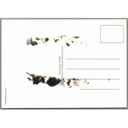 Vordingborg Kirke - Trojaborg VO 1 - Ubrugt