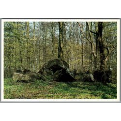 Stendysse i Oreby Skov - Sydsjllands Museum - Vordingborg - Ubrugt