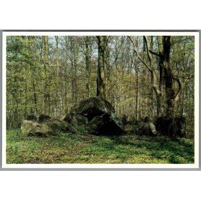 Stendysse i Oreby Skov - Sydsjllands Museum - Vordingborg - Ubrugt