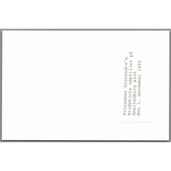 Prinsesse Alexandras Brudekjole - Foto u/n 