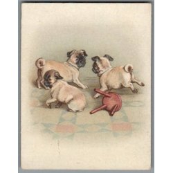 Kartonkort - 1918 - Hundehvalpe