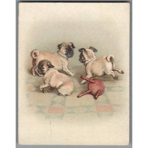 Kartonkort - 1918 - Hundehvalpe