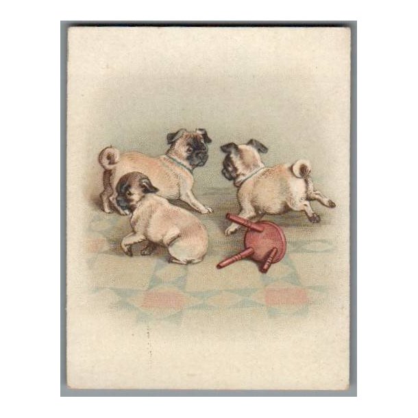 Kartonkort - 1918 - Hundehvalpe