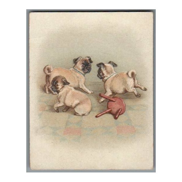 Kartonkort - Lille Irene - Hundehvalpe