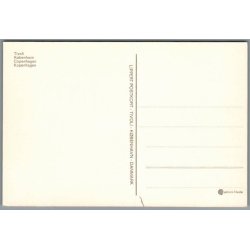 Tivoli - K�benhavn - Postkort - Ubrugt 