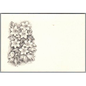 Viggo Bang - Margrethekirkens Indsamling - Laursen u/n - Ubrugt