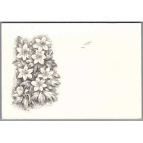 Viggo Bang - Margrethekirkens Indsamling - Laursen u/n - Brugt