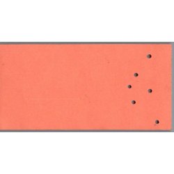 Europamesterskabet Roning 1963 - Bagsv�rd S� - Partout Kort