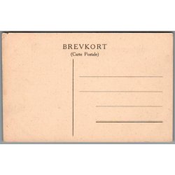K�benhavn - Parti fra �rstedsparken - Postkort - Ubrugt 