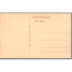 K�benhavn - Frue Kirke - Postkort - Ubrugt