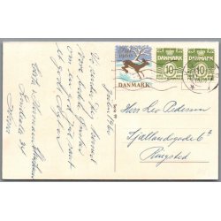 Nathansen, Lizzie - Gldelig Jul - Serie 99 - Brugt